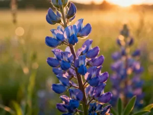 Kwiat magnolii odmiany Jane o intensywnie purpurowo-różowych płatkach na tle rozmytego, zielonego ogrodu.