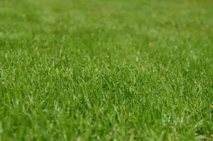 Ile kosztuje klimatyzacja do domu – koszty, montaż, oszczędności
